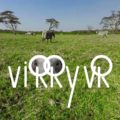 Virry VR: Feel the Wild