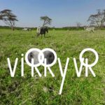 Virry VR: Feel the Wild