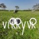 Virry VR: Feel the Wild