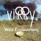 Virry VR: Wild Encounters