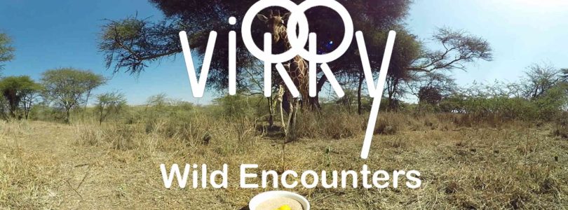 Virry VR: Wild Encounters