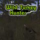 Wild Turkey Hunt VR