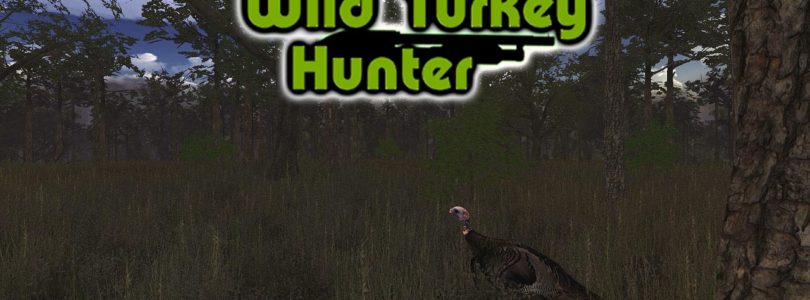 Wild Turkey Hunt VR