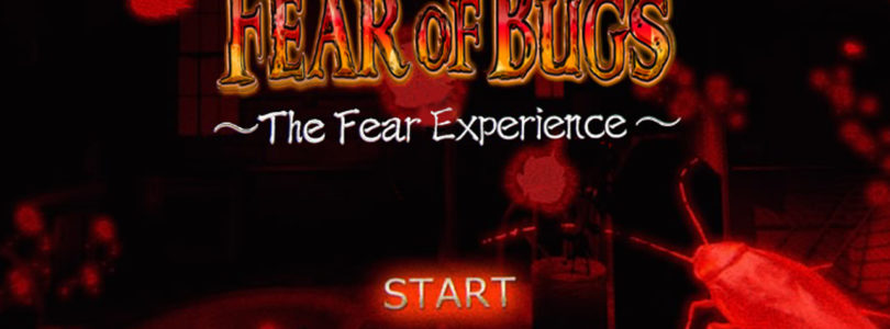 Fear of Bugs – The Fear Experience