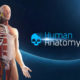 Human Anatomy VR