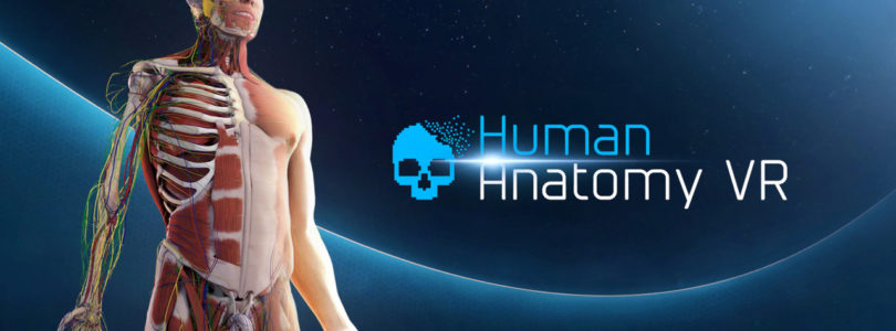 Human Anatomy VR