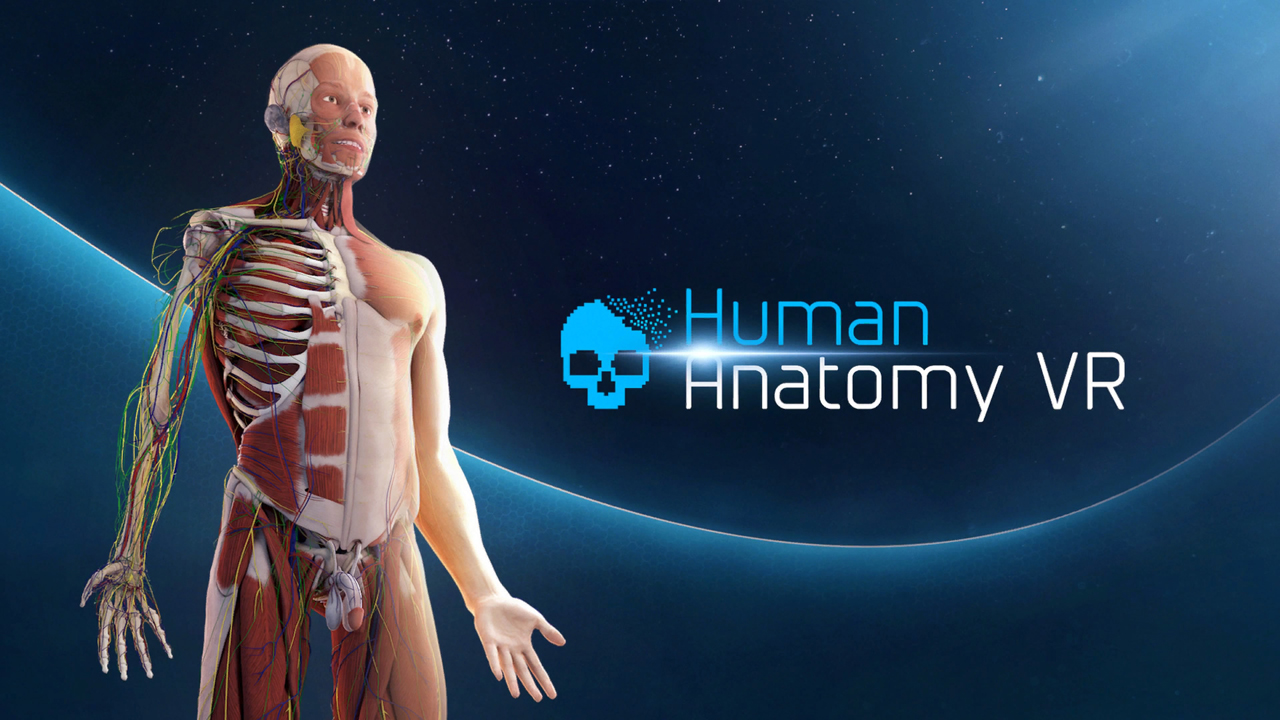 human body educational vr